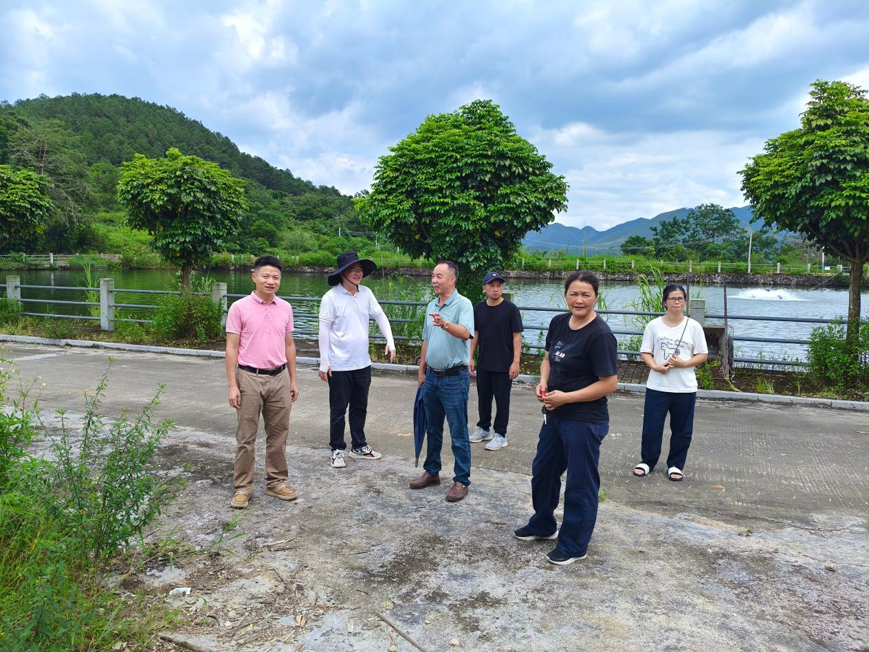 补短板、强弱项、提颜值——大沙镇纵深推进“百千万工程”人居环境提升