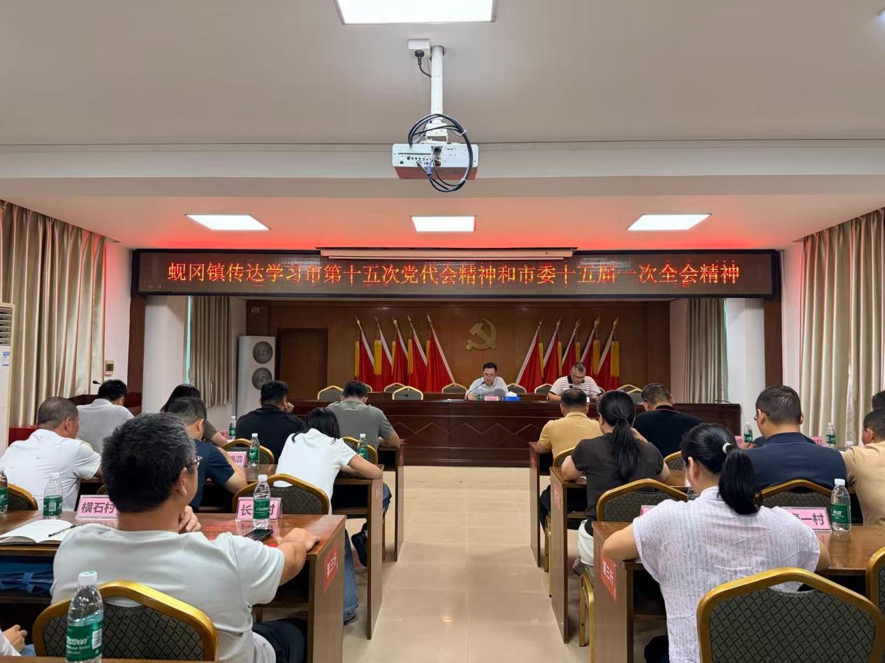蚬冈镇传达学习贯彻市第十五次党代会、市委十五届一次全会精神