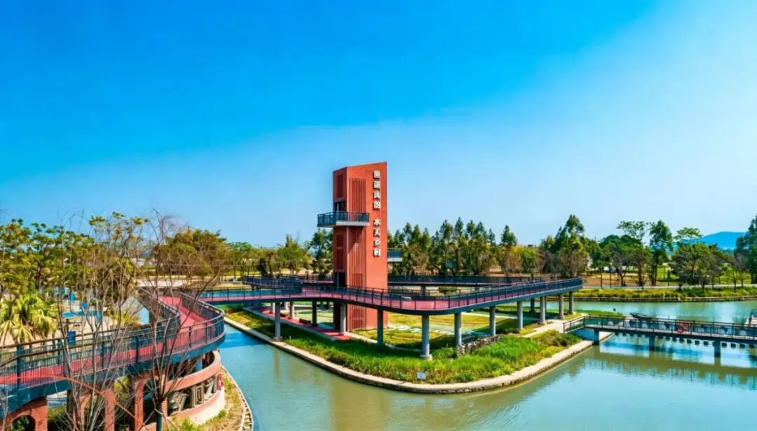 塘口镇泥海河：水美世遗廊道的“蝶变记”