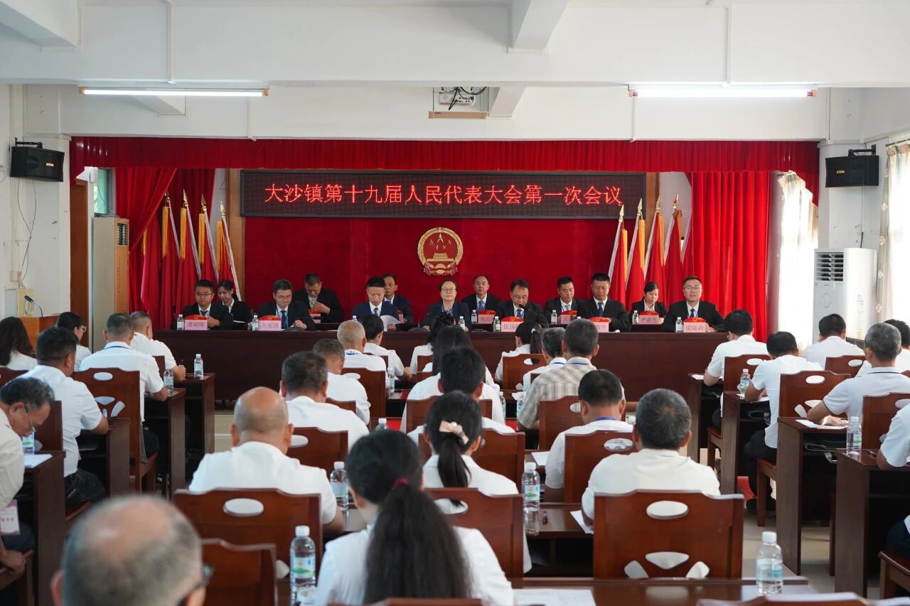 奋进新征程，谱写新篇章——大沙镇第十九届人民代表大会第一次会议胜利召开！