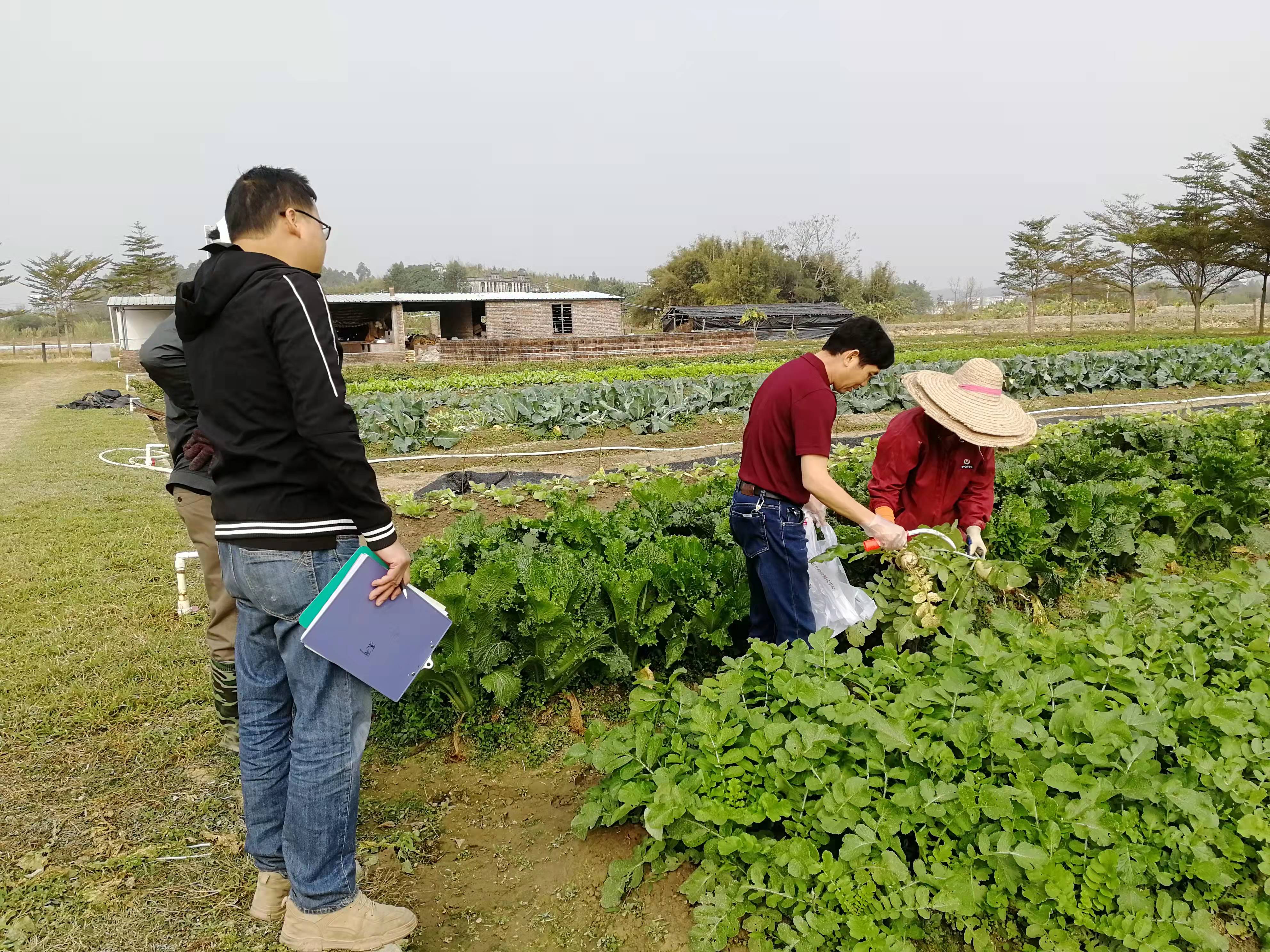 江门农检站到AMO农业园抽样.jpg