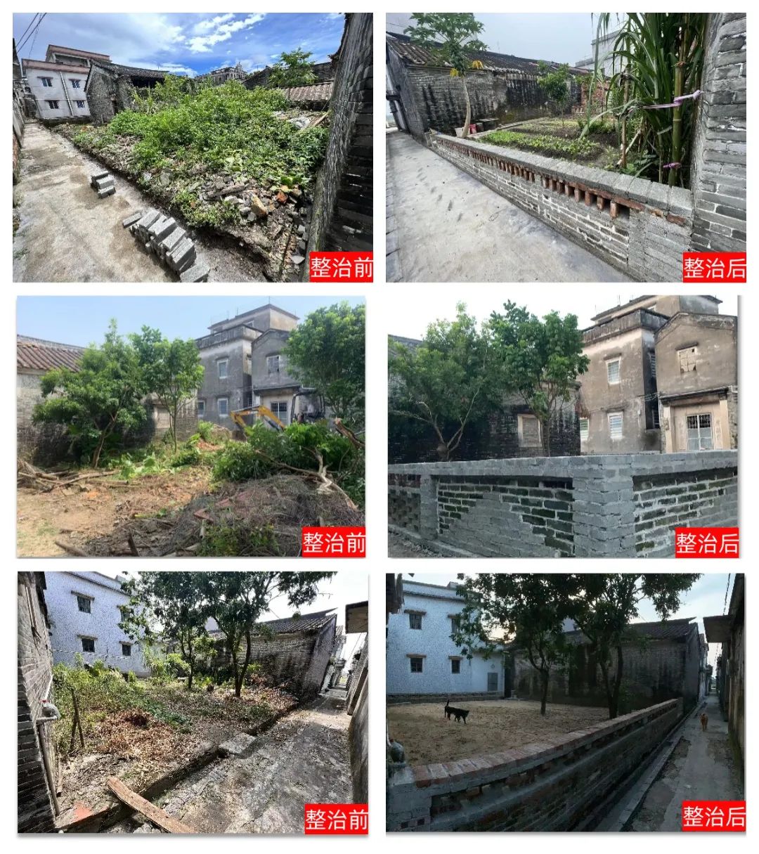 儒东.jpg 图片