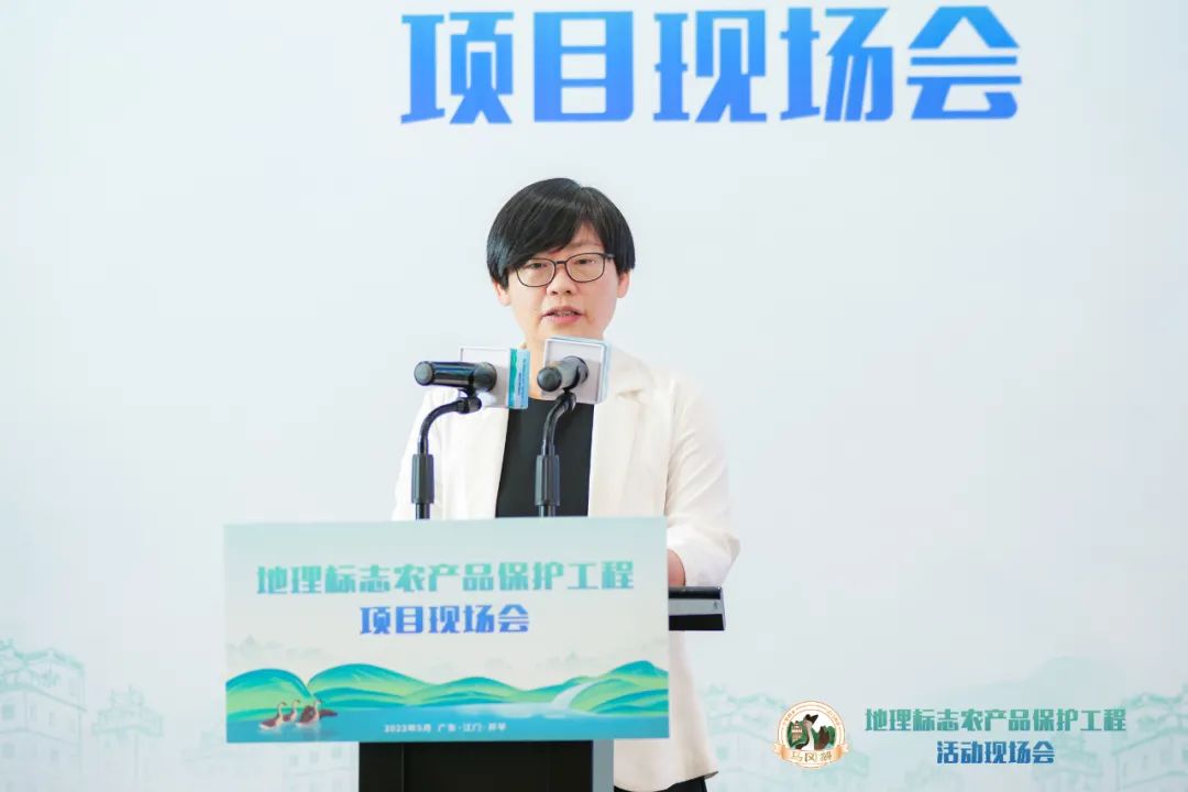 开平市委副书记、市长陈小曼致辞 图片