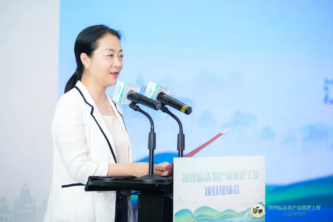 江门市政府领导副市长张玥阳发表致辞 图片