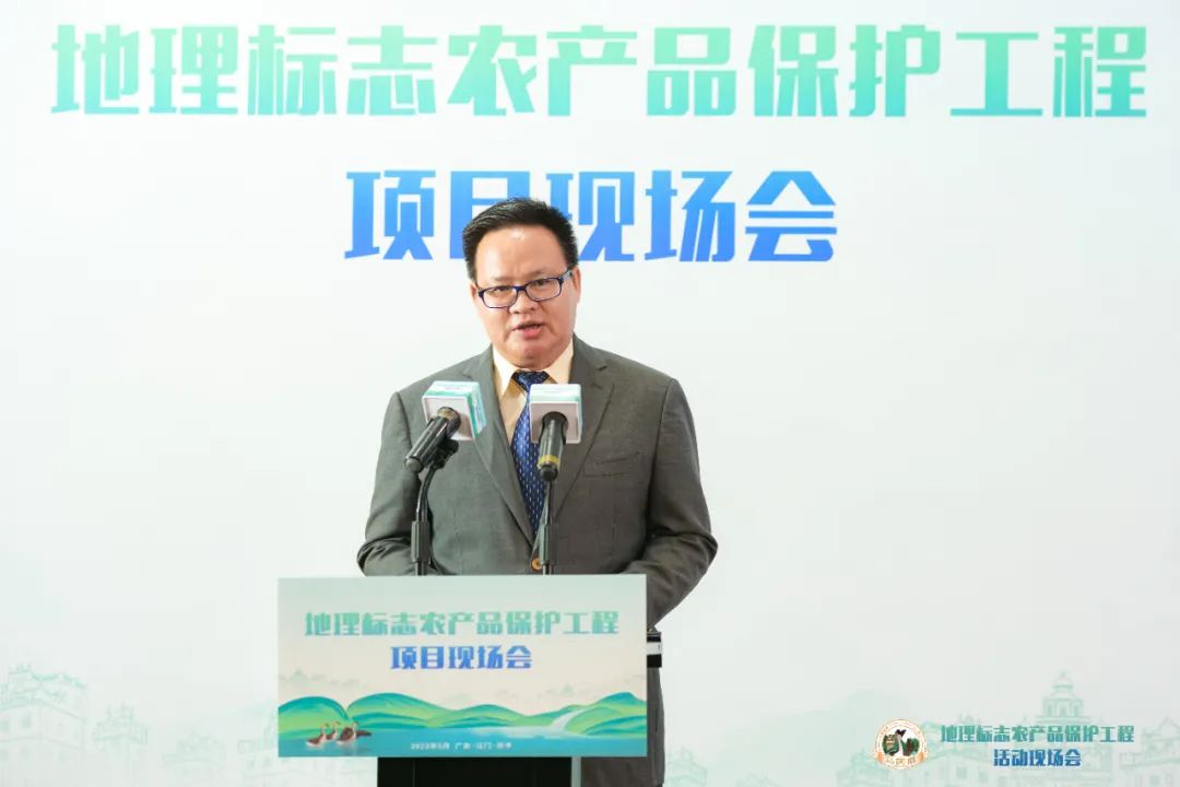 仲恺农业工程学院继续教育学院院长、仲恺农业品牌创新研究院执行院长邓保国教授详细介绍马冈鹅品牌及产业脉络 图片