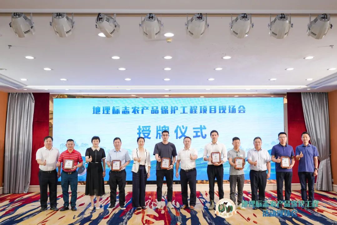 马冈鹅地理标志使用权授牌仪式(授牌开平市吉丰畜牧有限公司牛山分公司、开平市马冈真味供销有限公司、开平市优之名食品有限公司、广东省华昌马冈鹅有限公司、开平市盛毅家禽养殖有限公司、开平市鹅娘食品配送公司) 图片