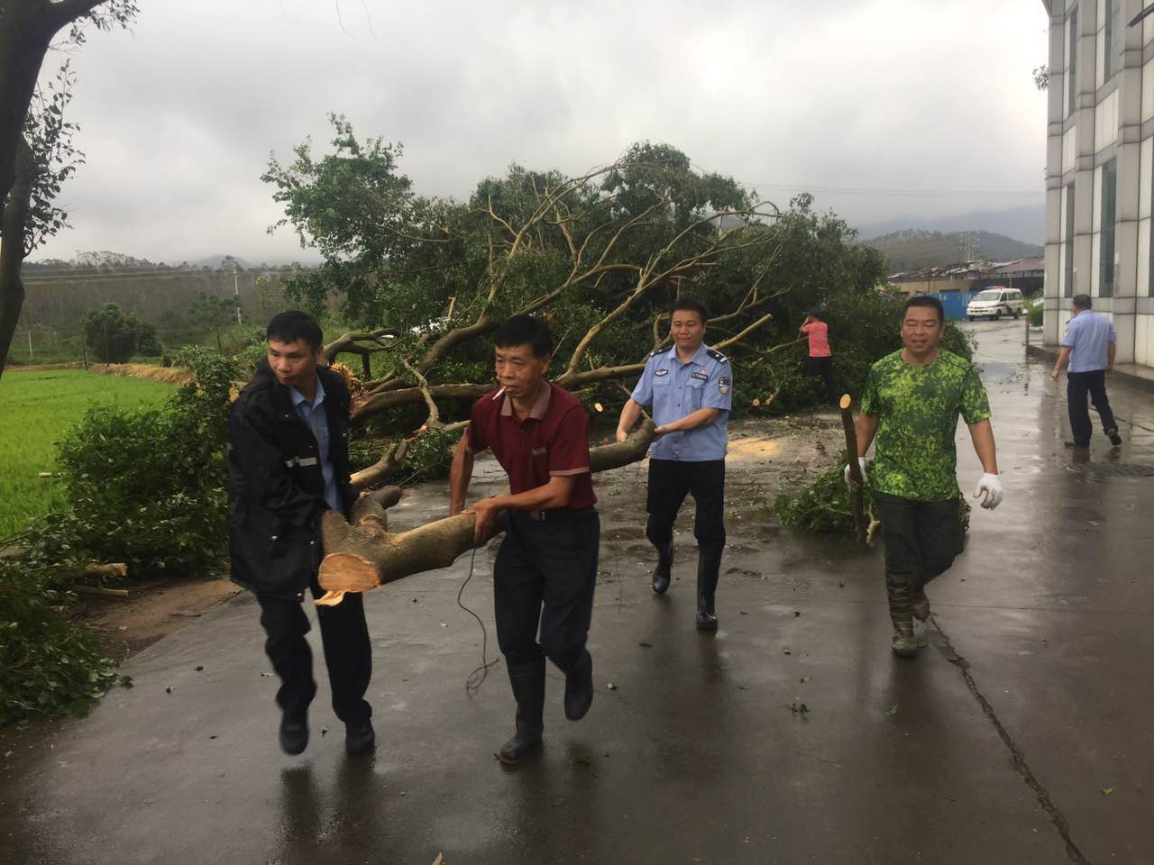 微信图片_20180917145219.jpg