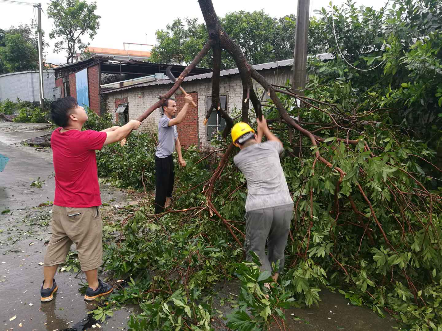 微信图片_20180917144728.jpg