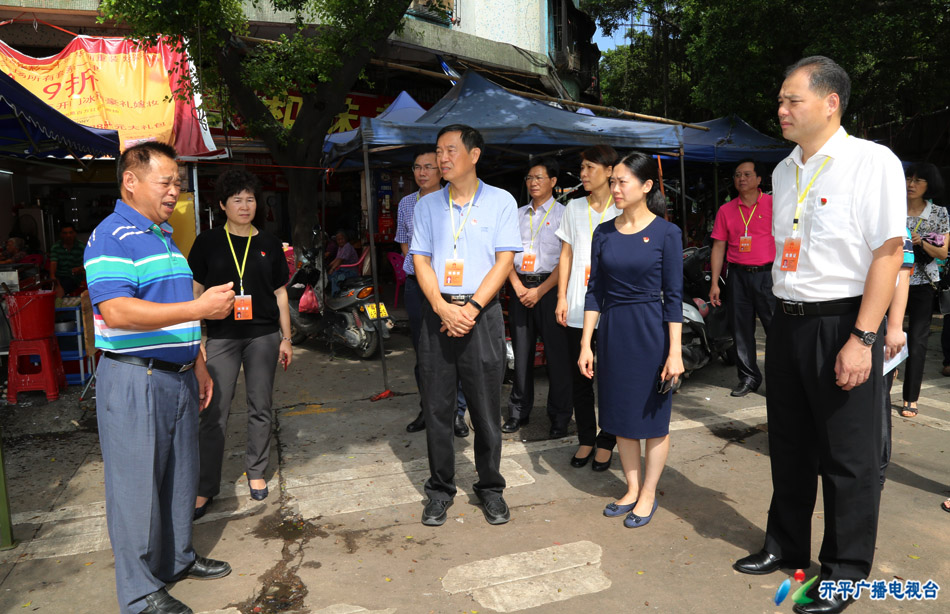 0-2 2H3A6546 - 副本 视察组现场察看开平市创建全国文明城市工作情况.jpg