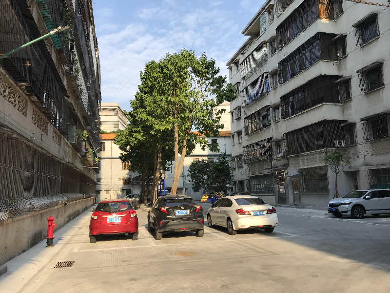 开平市城市管理和综合执法局