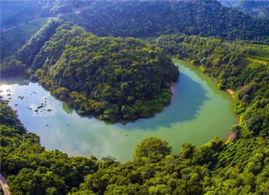 广东全域播绿绿美大地盘点2019