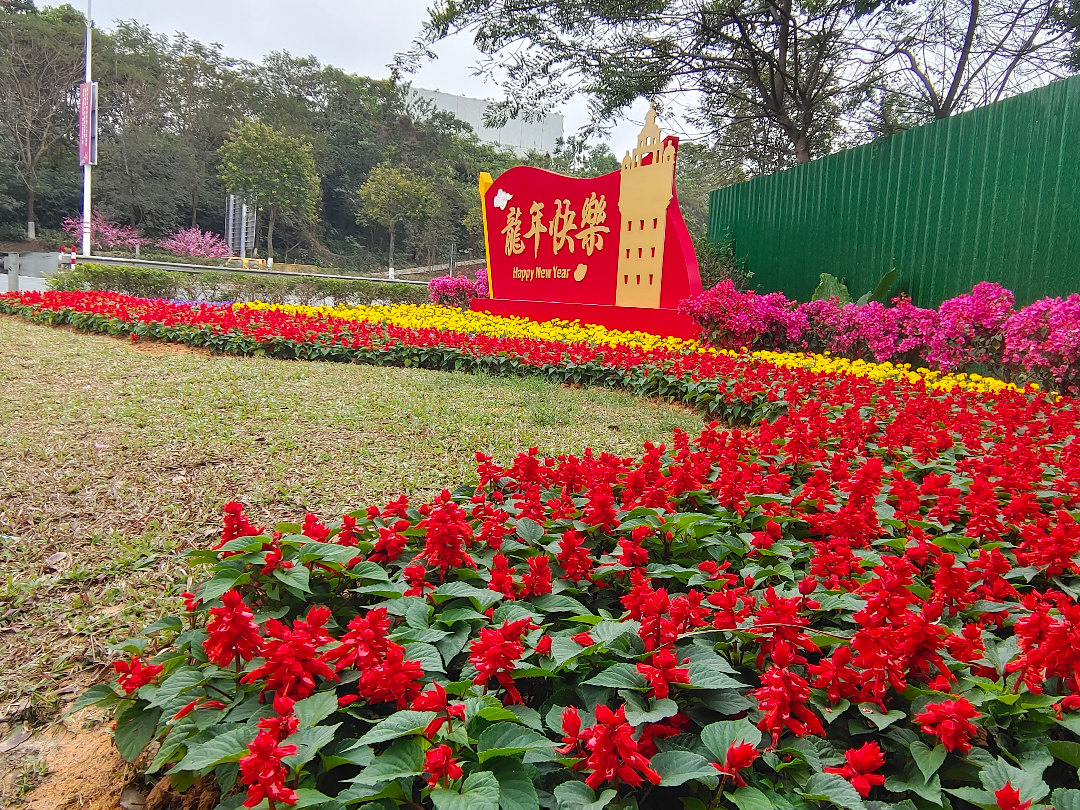 今天是2024年2月15日星期四欢迎进入开平市城市管理和综合执法局