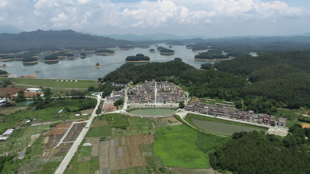 高质量发展开平市各镇街道各部门单位集体表态五