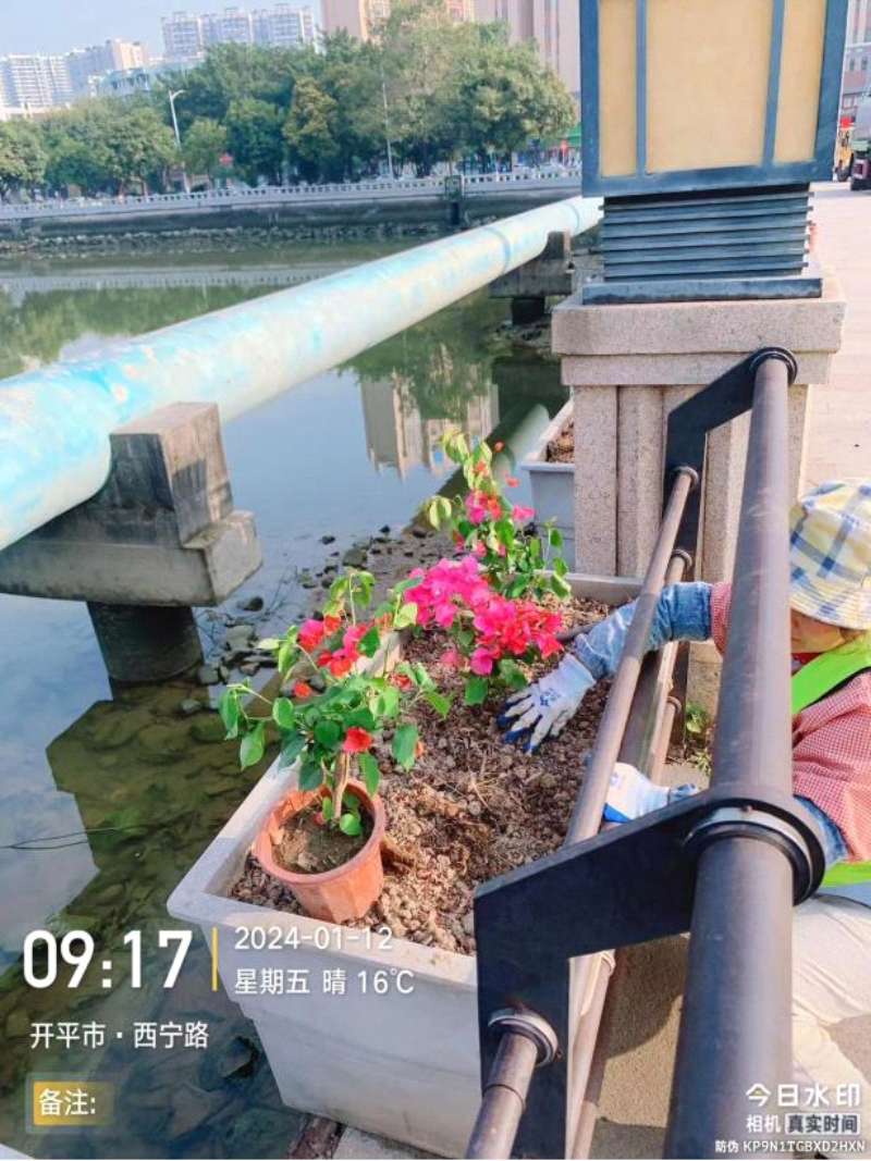 图片52.png