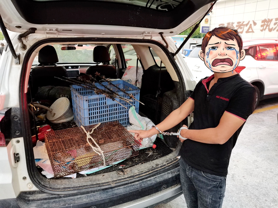 我为群众办实事捕捉麻雀130只一男子因非法狩猎被刑拘