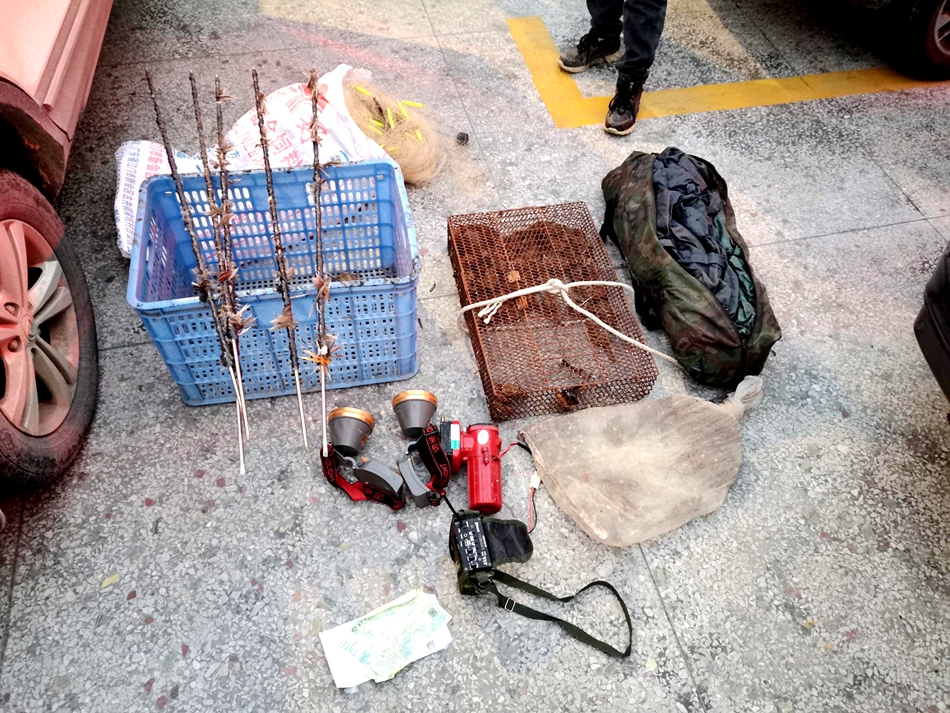 我为群众办实事捕捉麻雀130只一男子因非法狩猎被刑拘