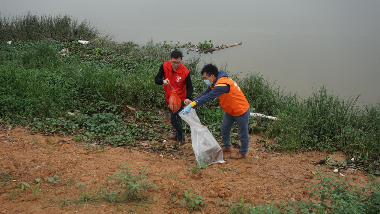 助力创建全国文明城市的一次绿色行动,充分展现了三埠青年干部对保护