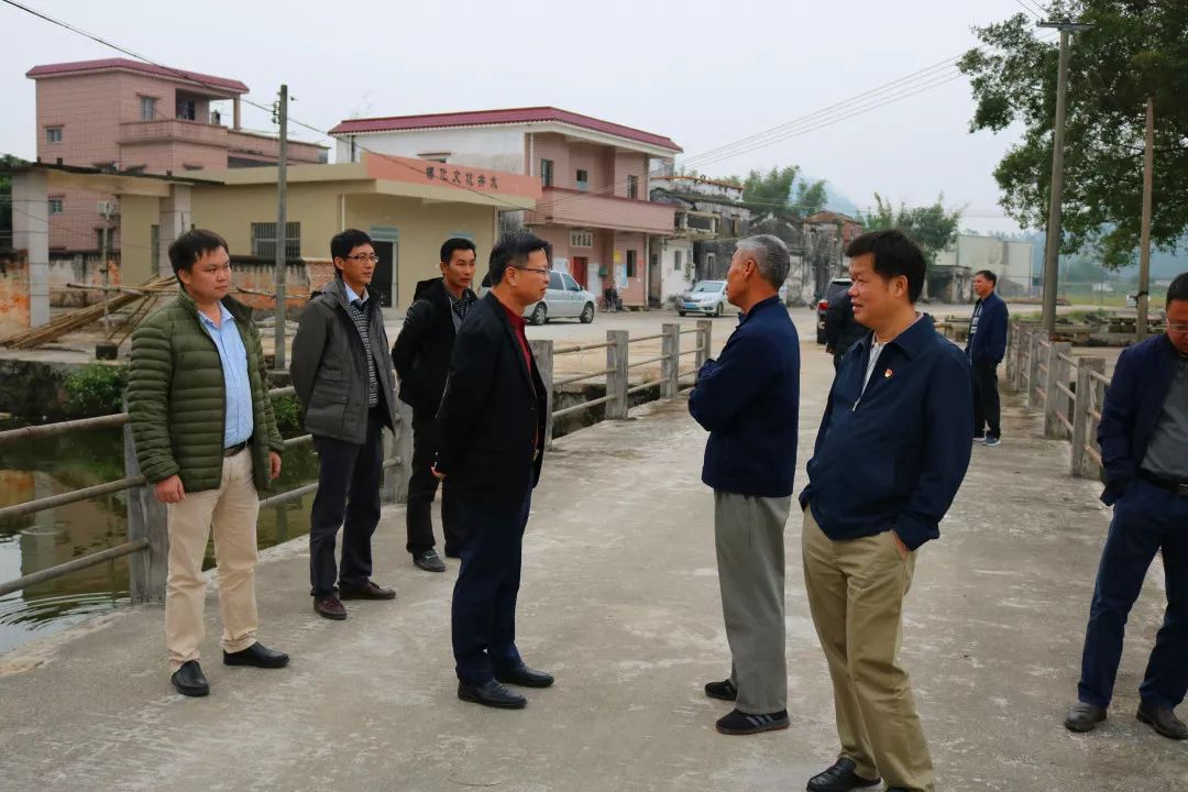 市委常委,统战部部长陈伟成到赤水镇调研指导侨务工作