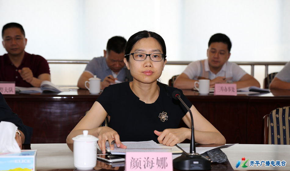 开平市委常委,市委宣传部部长颜海娜主持会议