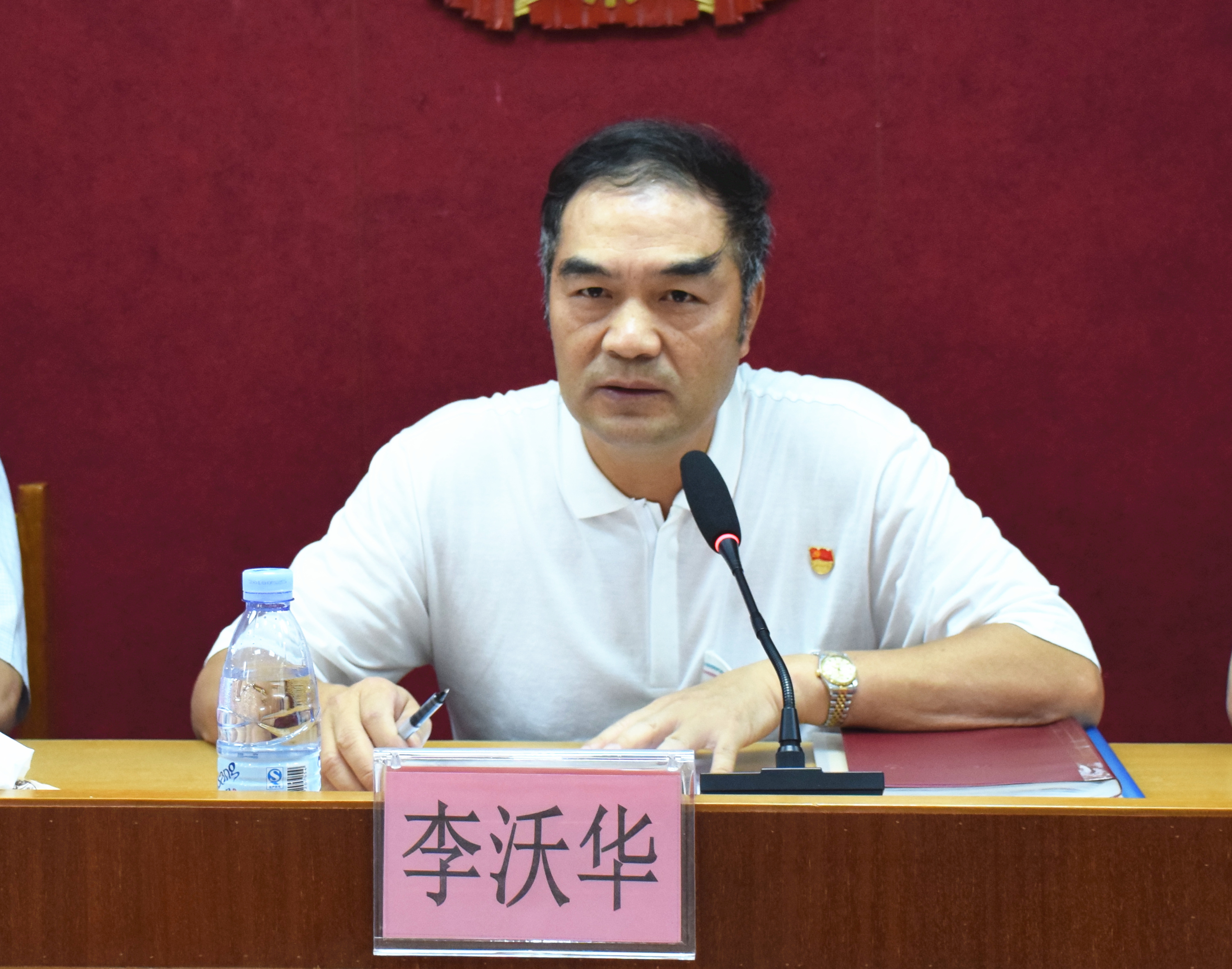 龙胜镇召开社会综合治理暨禁毒工作重点整治推进会强调