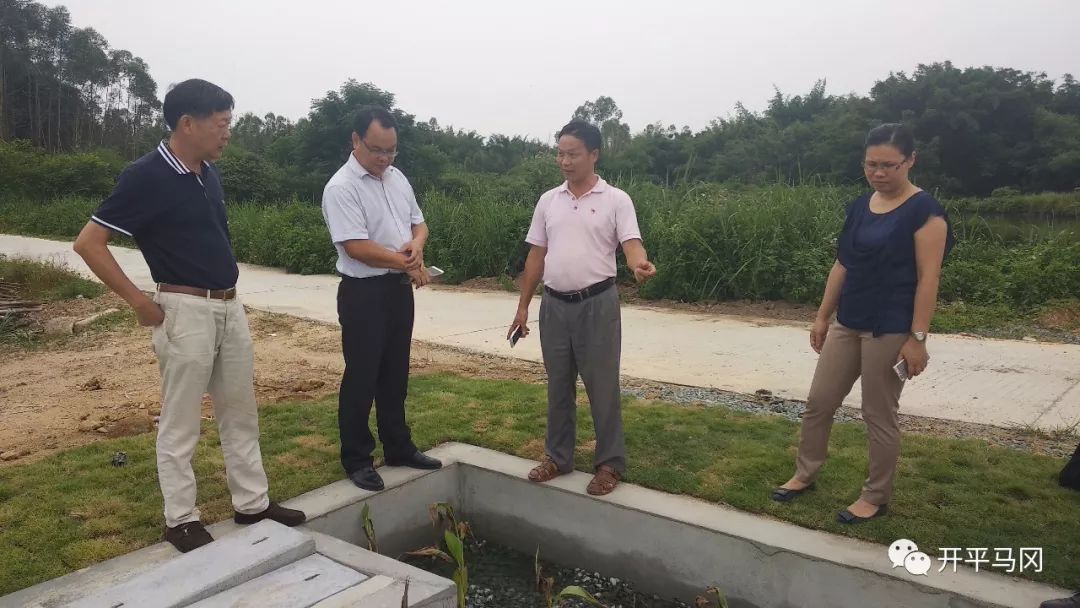 开平市领导陈百浓黄力奔到马冈镇开展污水处理系统建设和乡村振兴调研