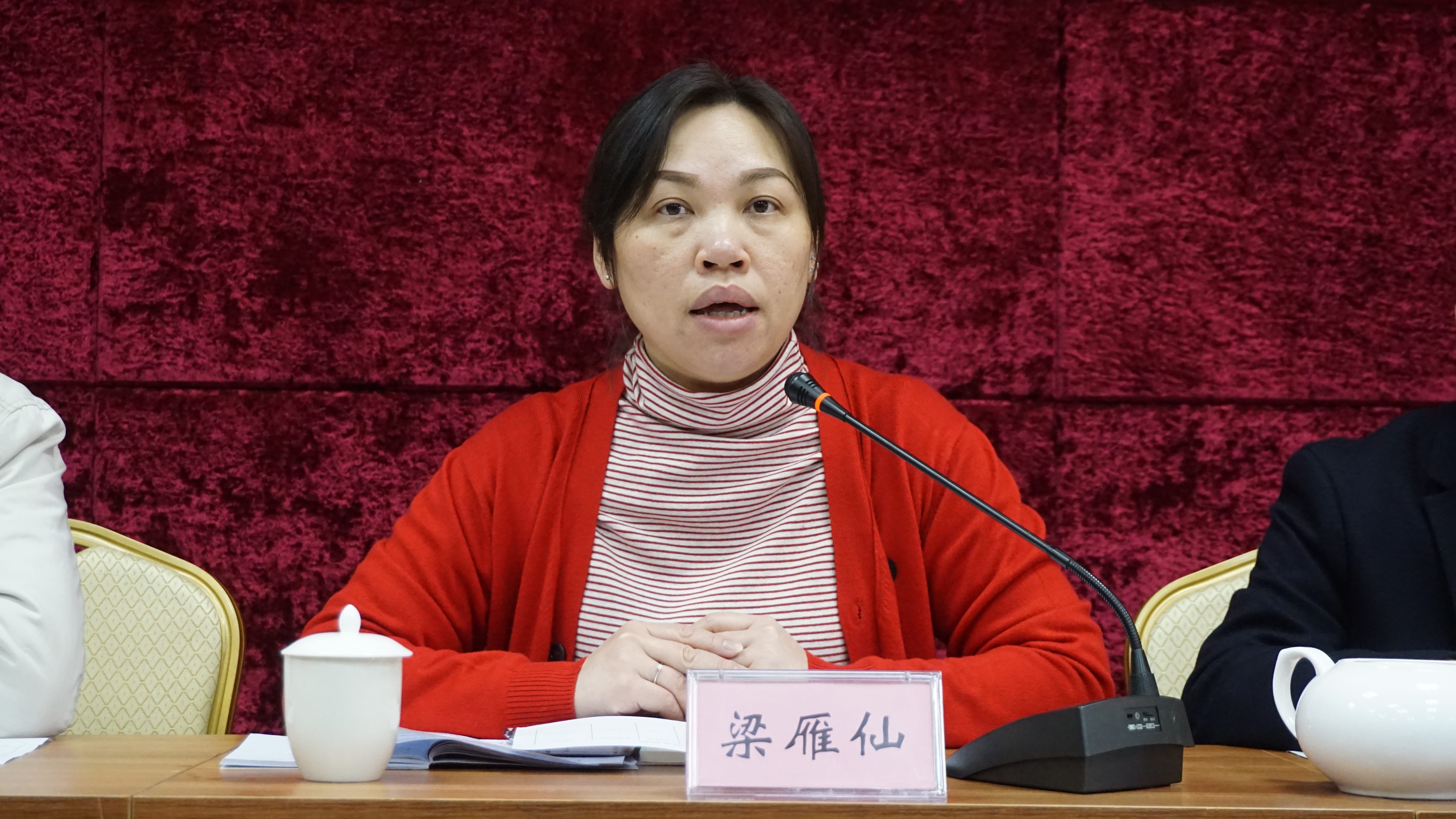 会上,街道党工委书记梁雁仙传达广东省实施乡村振兴