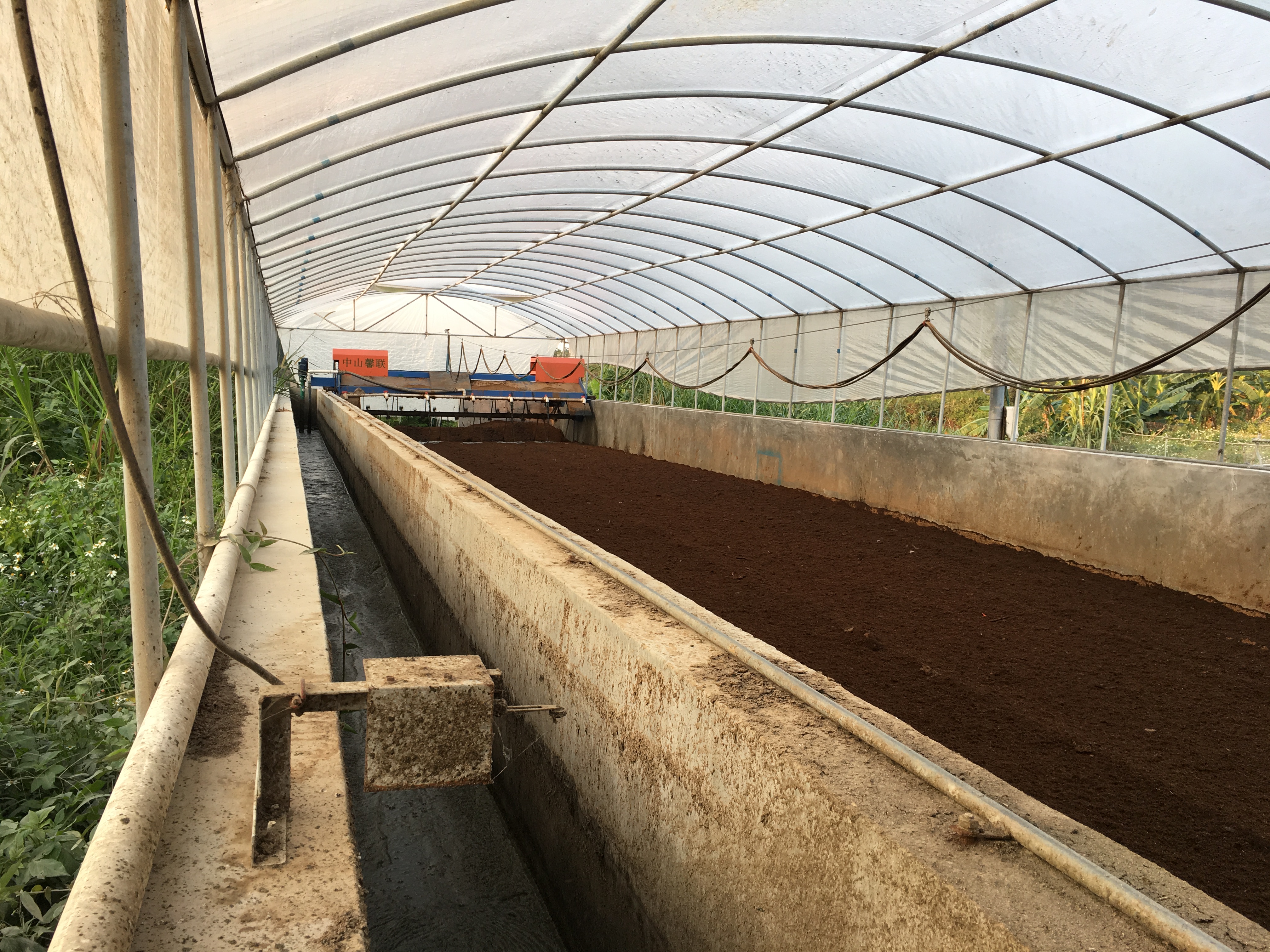 蚬冈镇开展规模化养猪场环保整改督查